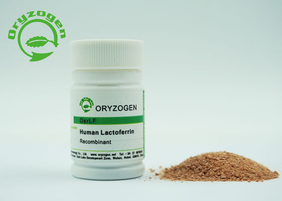 80KD Recombinant Human Protein Lactoferrin No Animal Component For Cosmetics
