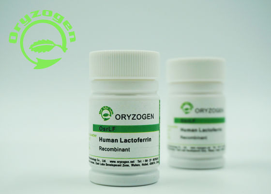 Animal Component Free Recombinant Lactoferrin Reddish Brown Loose Powder 2-8 ℃ Storaged
