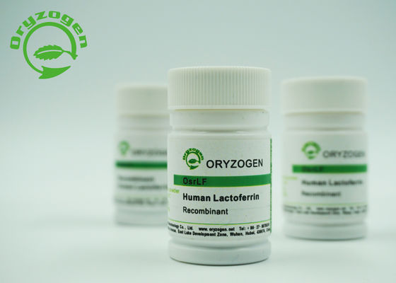 Rice Grain Origin Recombinant Human Lactoferrin Biological Researches Reagents 146897-68-9