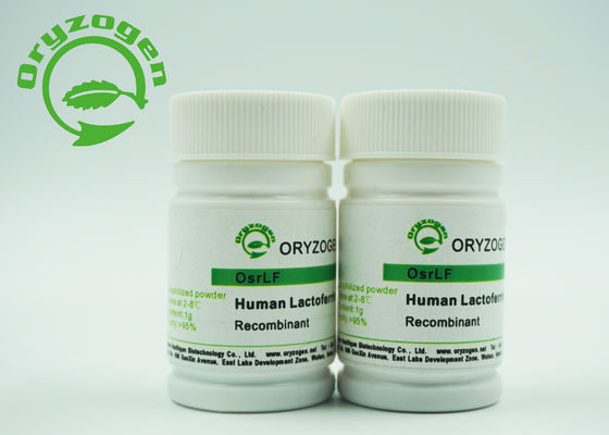 Lactoferrin Freeze Dried Powder Plant Derived With Antibacterial Activity Enhancing Immunity
