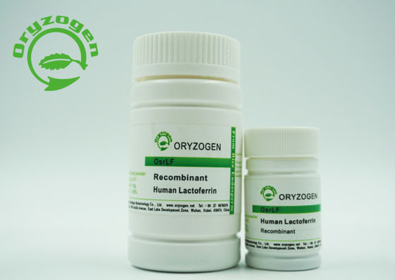 Plant Derived Lacto Ferrin Recombinant Human Lactoferrin rhLF With Endotoxin Less Than 20 EU / mg