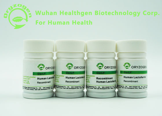Plant Derived Lacto Ferrin Recombinant Human Lactoferrin rhLF With Endotoxin Less Than 20 EU / mg