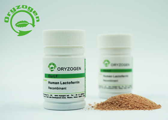 Lyophilized Powder Recombinant Human Lactoferrin Low Endotoxin 80Kd Molecular Weight