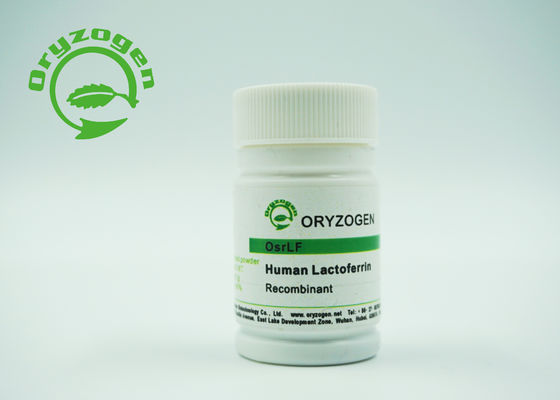 Antibacterial Greater Than 95% Purity Recombinant Lactoferrin Lyophiized With Inorganic Salt
