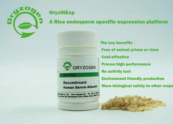 Oryzogen Recombinant HSA Has Good Batch Consistency Serum Albumin Protein