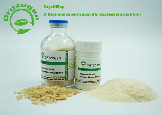 CAS 70024-90-7 Recombinant HSA 66.550KD Lyophilized Without Stabilizer Or Surface Active Agent