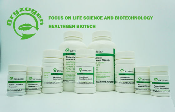 Rice Grain Origin Recombinant Human Albumin HSA 66.5KD Molecular Weight  For Diagnostic Kit