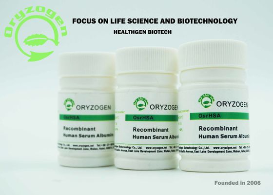 ISO Certificated Recombinant HSA Light Beige Lyophilized Powder