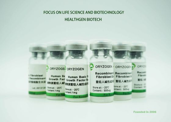 ISO Certificated rbFGF Growth Factor Oryza Sativa Origin