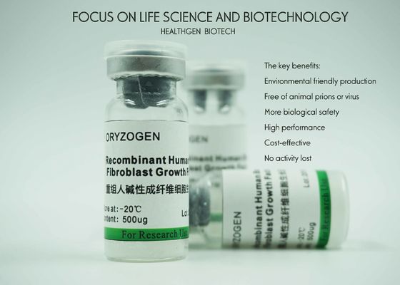 Rice Endosperm Specific Expressed Fibroblasts Growth Factor bFGF Without Any Contaminants Risk