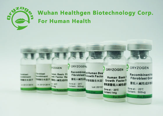 High Purity Human Fibroblast Growth Factor bFGF Biological Reagents For Science Researches