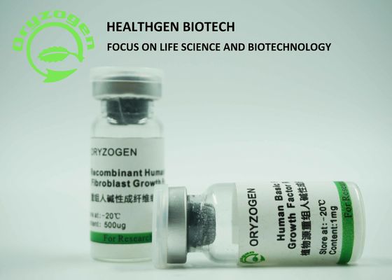 Rice Grain Origin Recombinant bFGF Growth Factor 17KD Molecular Weight