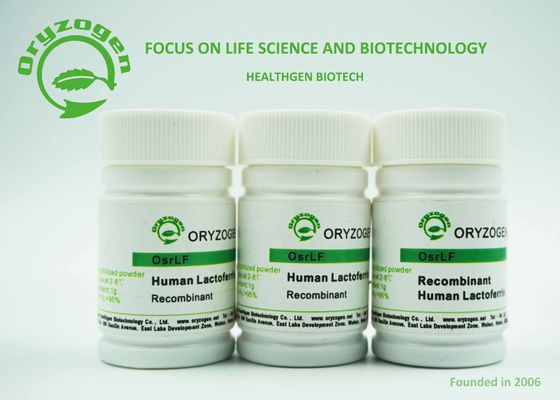 Greater Than 95% Purity Recombinant Human Lactoferrin Russetish Lyophilized Powder 80KD