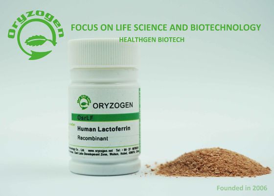 PH 7.0-7.5 Lacto Ferrin Recombinant Human Protein Rice Grain Origin ISO Certificated