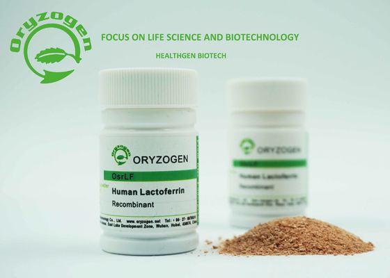 Plant Derived Recombinant Human Lactoferrin LF For Control Fe Concentration