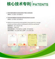 Biological Research Recombinant Protein Service Animal Component Free