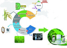 90% Purity Recombinant Protein Service Providing Technical Solutions To Express Customers Protein