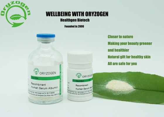Animal Free Albumin Skin Care 99% Purity With Low Endotoxin Less Than 0.125EU/mg