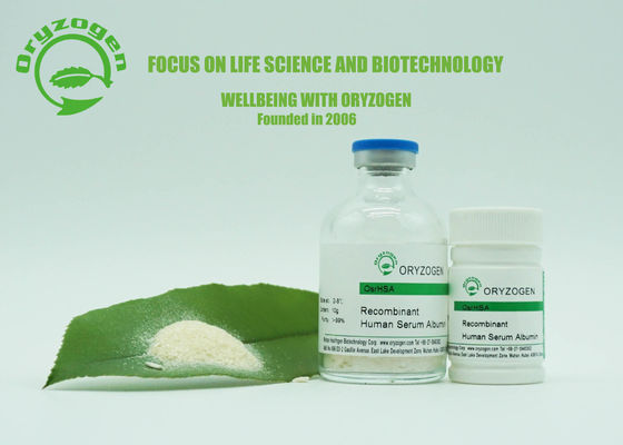 99% Purity Oryzogen Albumin Skin Care Human Recombinant Protein Speed Up Metabolism