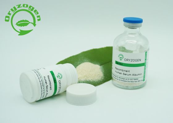 Oryzogen 65 KD Recombinant HSA Powder For Vaccine CAS 70024 90 7