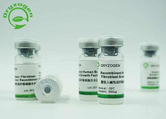 Lyophilized Basic Fibroblast Growth Factor bFGF factor Bilogical Reagents For Biopharmaceuticals