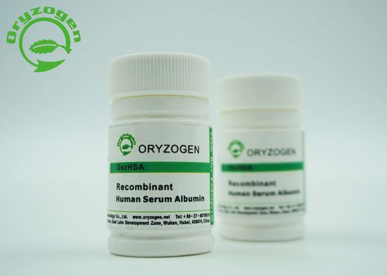 Excipient Grade Animal Free Recombinant Human Serum Albumin rHSA For Vaccine Research Excipient