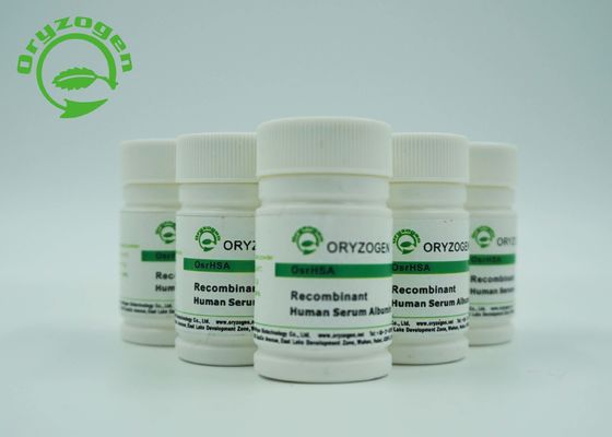CAS 70024-90-7 Recombinant Human Albumin HSA With Less Than 0.125EU/Mg Endotoxin