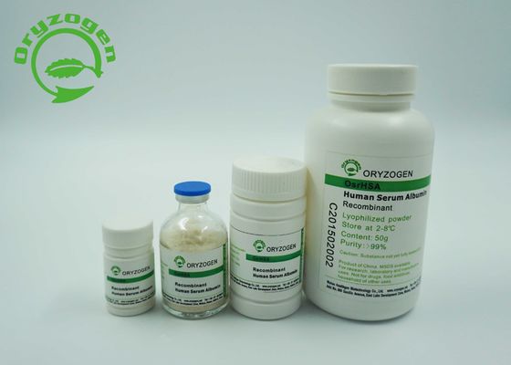 Stem Cell Culture Recombinant Human Blood Serum Albumin HSA Almost No Endotoxin