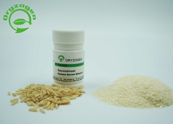Greater than 99% Purity Recombinant HSA rHSA Freeze - Dried Powder 4.8 PI