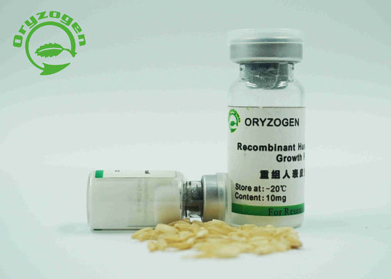 High Purity Recombinant EGF Factor Non - Animal Component For Xeno - Free Medium