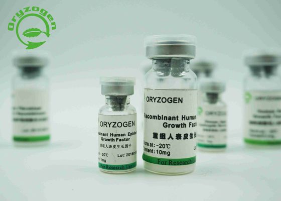 Yeast Derived Recombinant Epidermal Growth Factor 6.3KD Human EGF For Serum - Free Medium