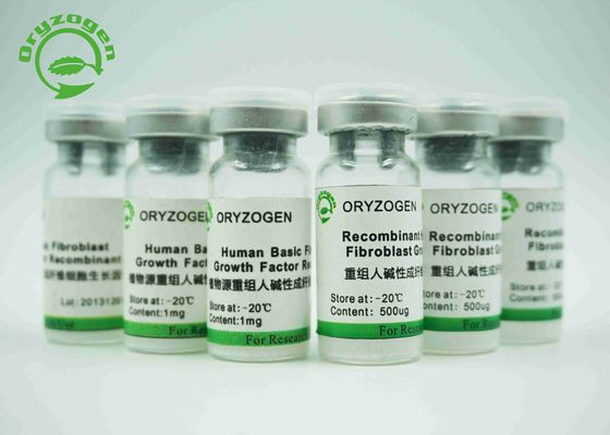 High Bioactivity Recombinant Human Epidermal Growth Factor EGF Growth Factor 98% Purity SDS-PAGE Determined