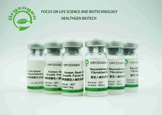 White Lyophilized Powder bFGF Growth Factor Repair Damaged Skin Cells 17KD Human FGF2