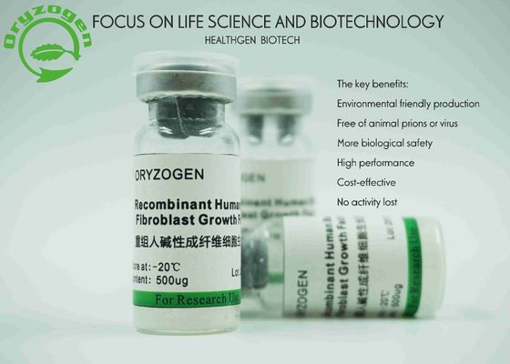 Rice Grain Origin Recombinant bFGF Growth Factor 17KD Molecular Weight