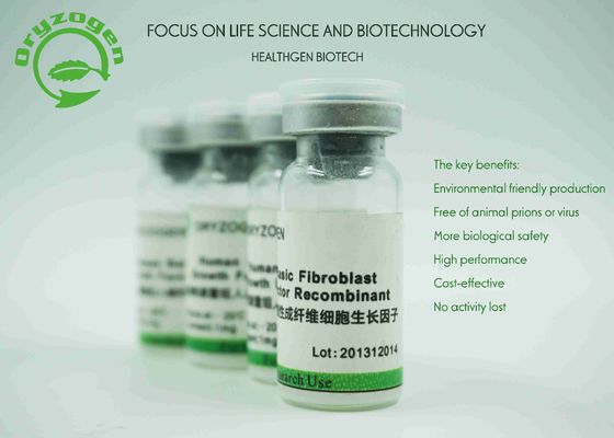 Greater Than 95% Purity Human bFGF Growth Factor Lyophilized With Mannitol Stabilizer
