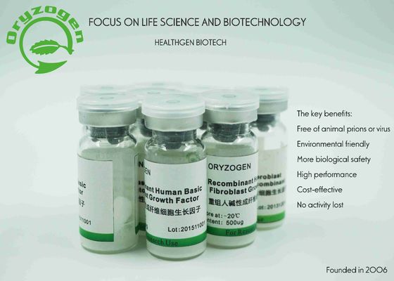 White bFGF Growth Factor Lyophilized Powder Mammalian Cell Culture Medium Ingredient 17KD