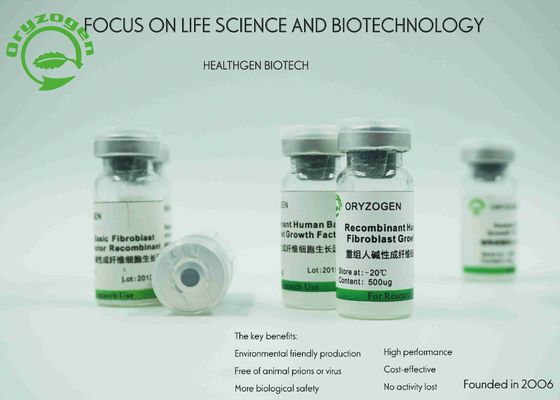 Rice Endosperm Specific Expressed Fibroblasts Growth Factor bFGF Without Any Contaminants Risk