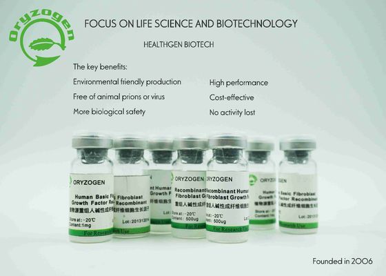 17KD Plant Derived bFGF Growth Factor Basic For Serum - Free Medium
