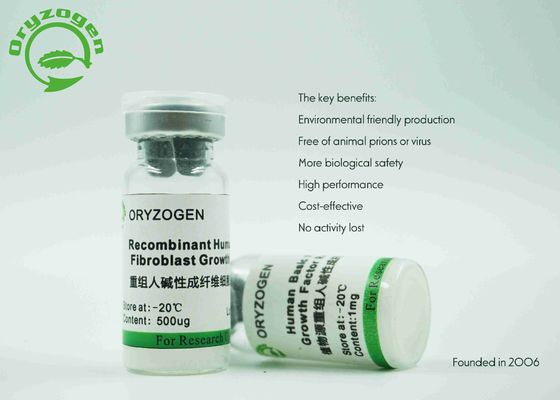 PH 6.5-7.5 Recombinant Basic FGF Non - Animal Component