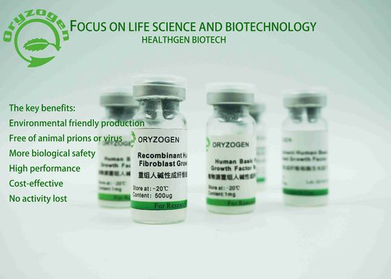 ISO Certificated rbFGF Growth Factor Oryza Sativa Origin