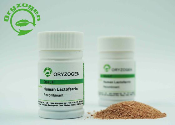 Animal Component Free Recombinant Lactoferrin Reddish Brown Loose Powder 2-8 ℃ Storaged