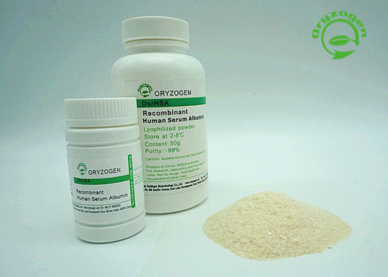 High Purity And Lyophilized Powder Recombinant Human Serum Albumin HSA With Animal Component Free