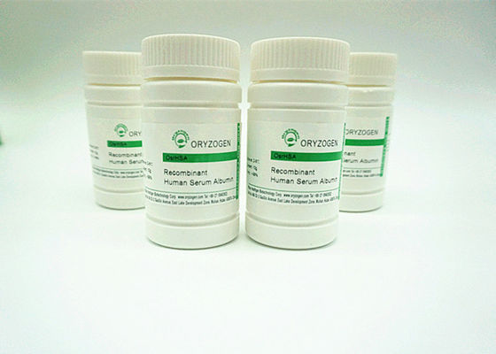 High Purity And Lyophilized Powder Recombinant Human Serum Albumin HSA With Animal Component Free