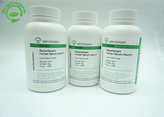 CAS 70024-90-7 Recombinant HSA Low Endotoxin For Serum - Free Cell Culture