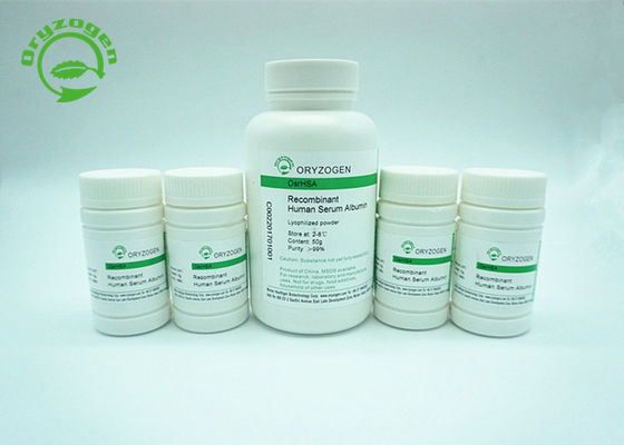 Human Serum Albumin Recombinant HSA Is Structurally And Biochemically Equivalent To pHSA