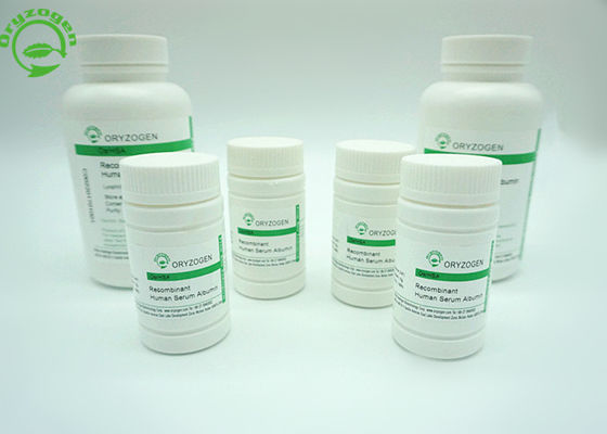 Animal Free Recombinant HSA Human Serum Albumin rHSA Has Good Batch Consistency