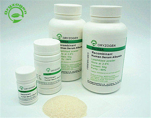 Animal Free Recombinant HSA Human Serum Albumin rHSA Has Good Batch Consistency