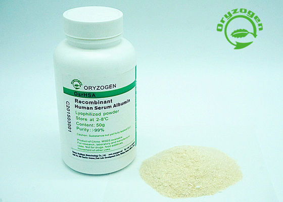 Strict Quality Control Recombinant Serum Albumin HSA White To Light Beige Lyophilized Powder