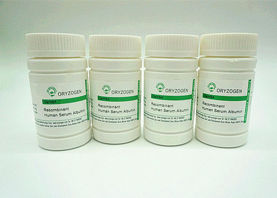 99% Purity Recombinant HSA Derived From Rice Same Sequence As Plasma HSA