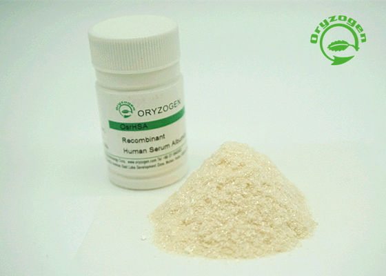 More Than 99% Purity Recombinant Serum Albumin HSA Off White To Light Beige Color Powder